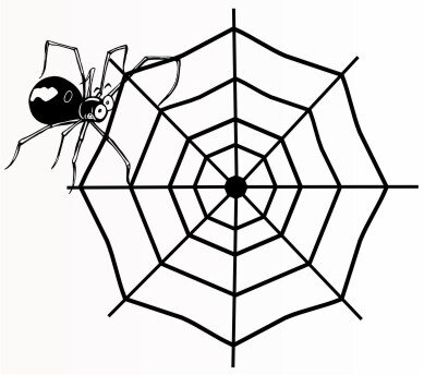 Spinne mit Spinnennetz Aufkleber, Autoaufkleber Spider Sticker