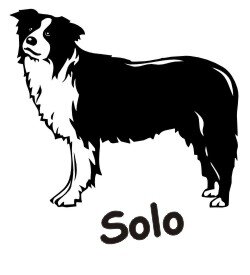 Hundeaufkleber Border Collie mit dem Namen Ihres Hundes