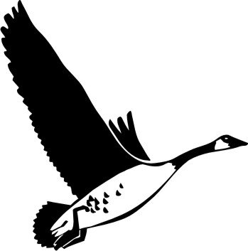 Kanadische Gans Aufkleber, Vogelaufkleber Sticker