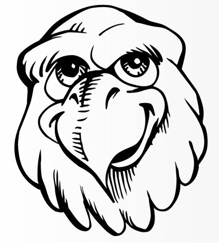 Adlerkopf Aufkleber, Adler Vogelaufkleber Lustiger Eagle Sticker