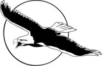 Fliegender Adler Aufkleber Vogelaufkleber Sticker Eagle TG