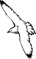 Möwe Aufkleber, Vogelaufkleber Seagull Sticker
