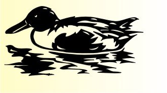 Ente Aufkleber Vogelaufkleber Duck Sticker M03
