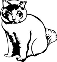 Katze Aufkleber, Katzen Sticker Cat DR