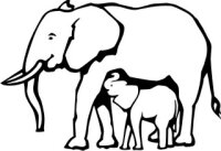 Elefant, Elefanten-Baby Aufkleber