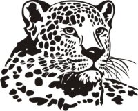 Leopard Aufkleber