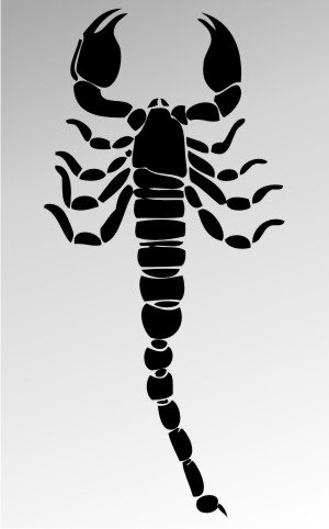 MO07 Skorpion Aufkleber Skorpionaufkleber Scorpion Sticker