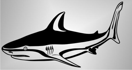 Stier-Haifisch Aufkleber Sticker Angeln