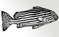 Zebrafisch Aufkleber Sticker Angeln