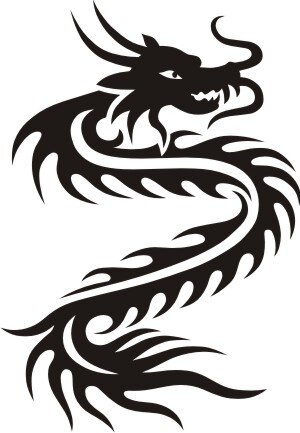 Drache Wandtattoo Drachen Tapeten Deko MO12