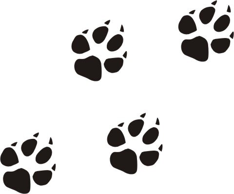 Hundepfoten 10-er Set Aufkleber, Tatzenaufkleber