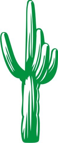 Kaktus Wandtattoo Tapeten Deko Cactus Wall Tattoo