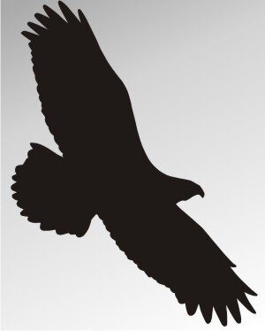 2 Stück Fledermaus-Fensteraufkleber Weiß, Je 20 Cm – UV-beständig Für Innen & Außen