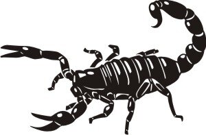 MO21 Skorpion Aufkleber Skorpionaufkleber Scorpion Sticker