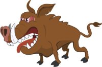 Wildschwein Wandtattoo mit Digitaldruck