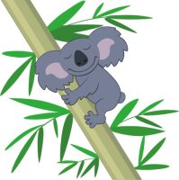Koala Wandtattoo mit Digitaldruck
