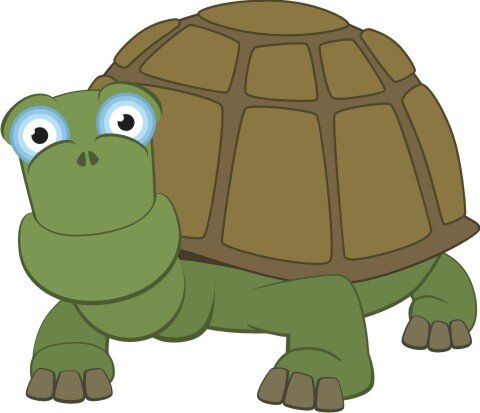 Schildkröte Wandtattoo mit Digitaldruck 