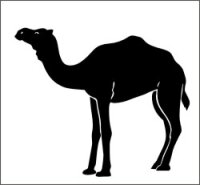 Kamel Camel Aufkleber, Kamelaufkleber