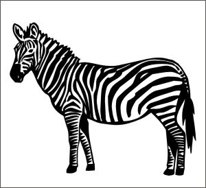 Zebra Aufkleber, Sticker, Zebraufkleber