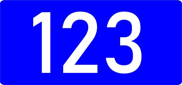 Ordnungsnummer Mietwagen