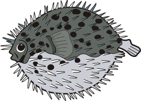 ballonfisch aufkleber