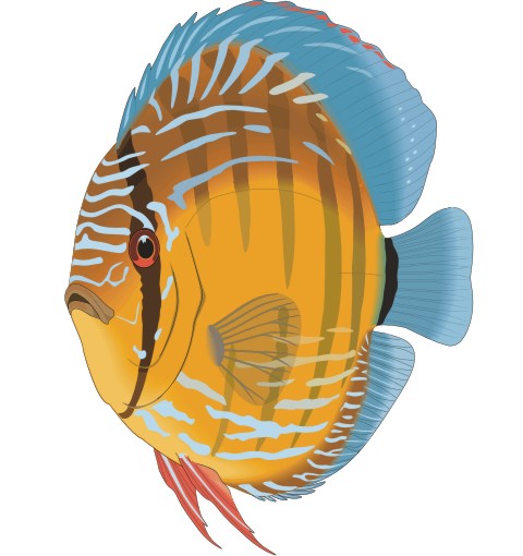 diskusfisch aufkleber