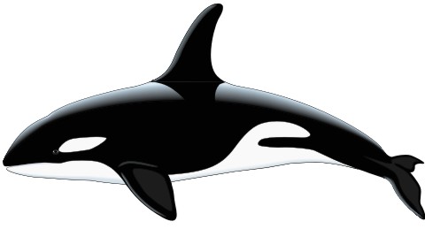 killerwal aufkleber
