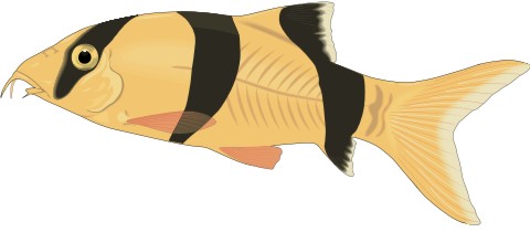 schmerlen aufkleber