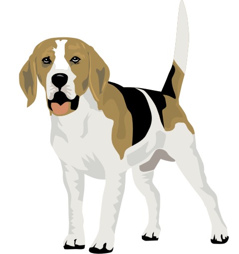 beagle aufkleber