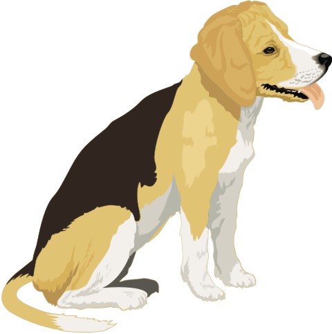 beagle aufkleber