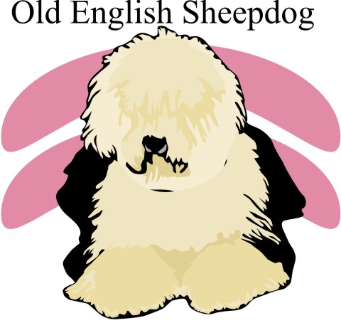 englischer schaeferhund aufkleber
