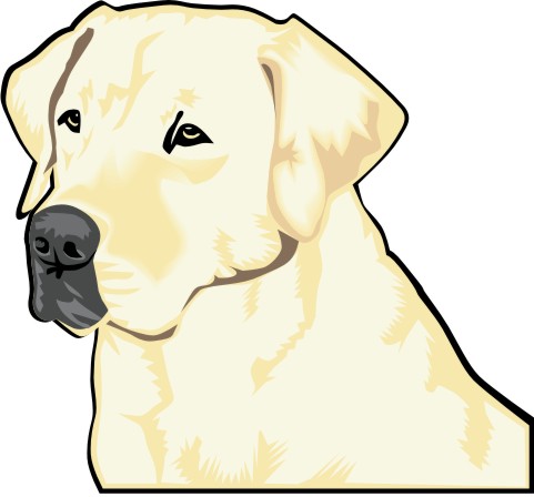 labrador aufkleber
