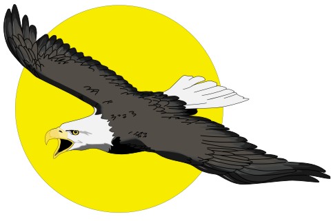 adler aufkleber mo05