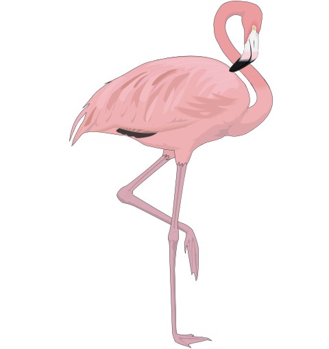 flamingo aufkleber