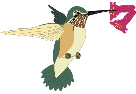 kolibri aufkleber