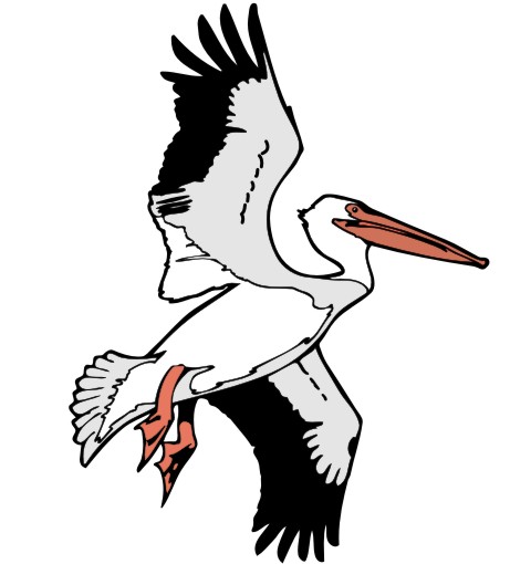 pelikan aufkleber