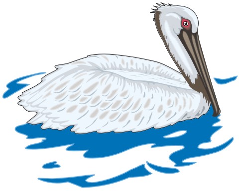 pelikan aufkleber