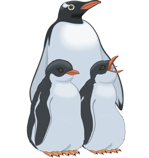 pinguin aufkleber
