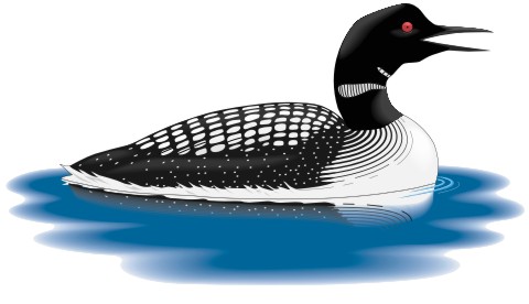 seetaucher aufkleber