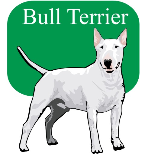 bull terrier wandtattoo