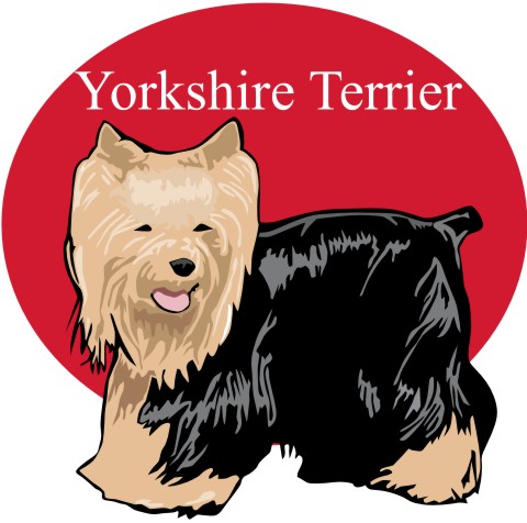 yorkshire terrier wandtattoo