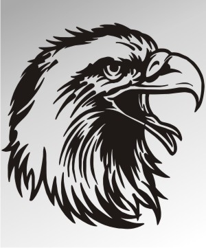 adler aufkleber eagle sticker