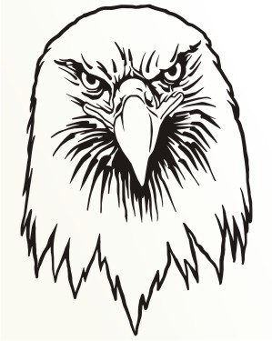 adler aufkleber eagle sticker
