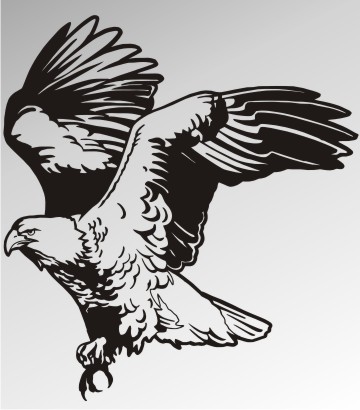 adleraufkleber eaglesticker adler eagle