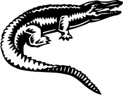 alligator aufkleber
