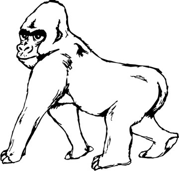 gorilla aufkleber