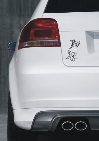 https://www.skorpion-design.com/shopbilder/tierwelt/katzen/katze_auto4.jpg