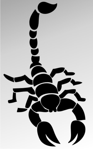 skorpion aufkleber scorpion sticker