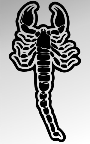 skorpion aufkleber scorpion sticker