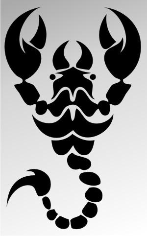 skorpion aufkleber scorpion sticker